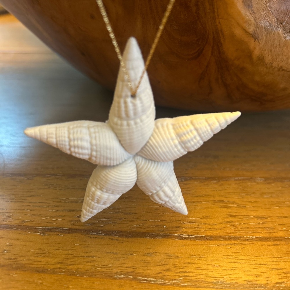 Coastal Starfish Hanging Decor in Cream by Margaret Furlong